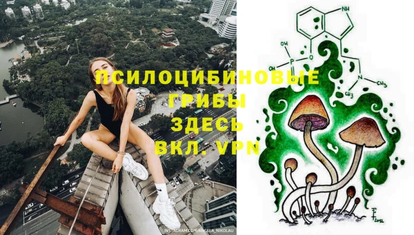 прущие крисы Наволоки